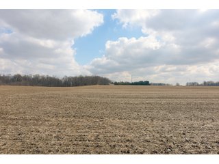 TRACT 11 - MAJOR LAND AUCTION - 719+/- ACRES OFFERED IN 14 TRACTS IN ALLEN COUNTY, OHIO